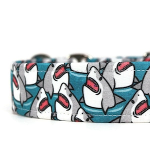 Big Sharks Hundehalsband - Halsband speziell für Hunde - Martingale - Tierzubehör