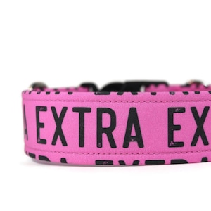 So EXTRA Dog Collar - Custom Dog Collar - Martingale - Pet Accessories