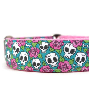 May include: A pink and teal dog collar with a skull and rose pattern.
