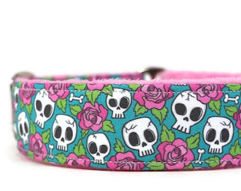 Pink Roses and Skulls Dog Collar: Blue Martingale Collar
