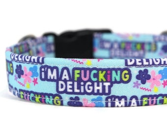 F*cking Delight Dog and Cat Collar