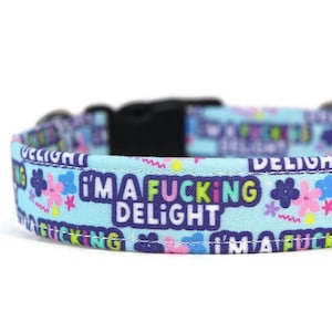 F*cking Delight Dog and Cat Collar