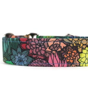 Rainbow Succulents Dog Collar - Custom Dog Collar - Martingale - Pet Accessories - Designer Dog Collar - Cat Collar