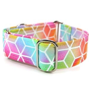 Pastel Geometric Rainbow Collar - Custom Dog Collar - Martingale - Pet Accessories - Designer Dog Collar - Cat Collar