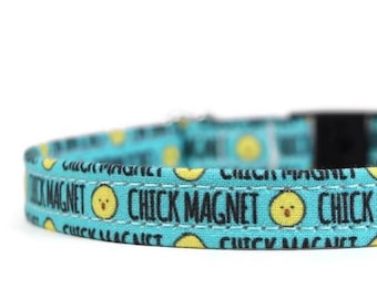 Tiny Chick Magnet Dog Collar - Custom Dog Collar - Breakaway Cat Collar