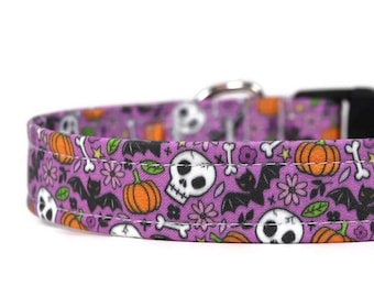 Collar para perro de Halloween: calaveras, murciélagos y calabazas en morado