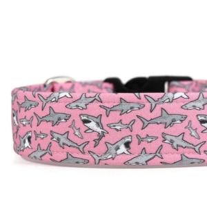 Sharks on Pink Dog Collar - Custom Dog Collar - Pet Accessories