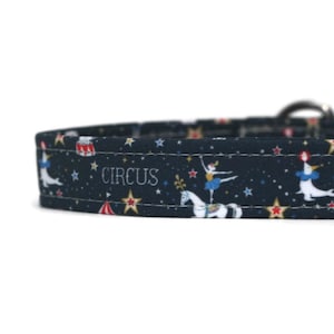 Retro Circus Dog Collar - Custom Dog Collar - Martingale - Pet Accessories - Designer Dog Collar - Cat Collar