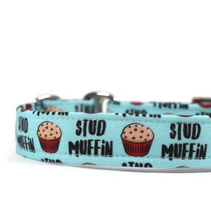 Stud Muffin Dog Collar - Custom Dog Collar - Martingale - Pet Accessories - Designer Dog Collar