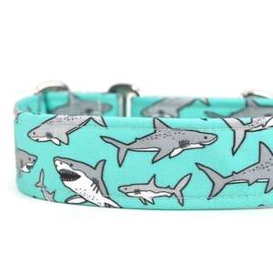 Great White Sharks Dog Collar - Martingale - Custom Dog Collar - Pet Accessories