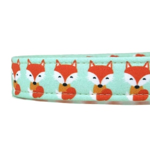 Foxes on Mint Dog Collar - Martingale - Custom Dog Collar - Designer Dog Collar - Cat Collar