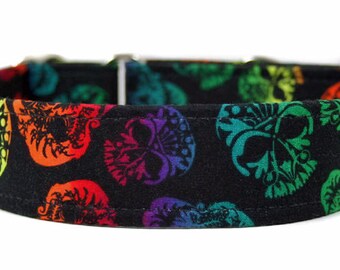 Rainbow Skulls Dog Collar