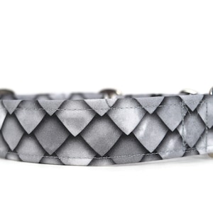 Silvery Dragon Dragon Scales Dog Collar - Custom Dog Collar - Breakaway Cat Collar