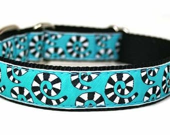 Zebra Swirls on Blue Dog Collar