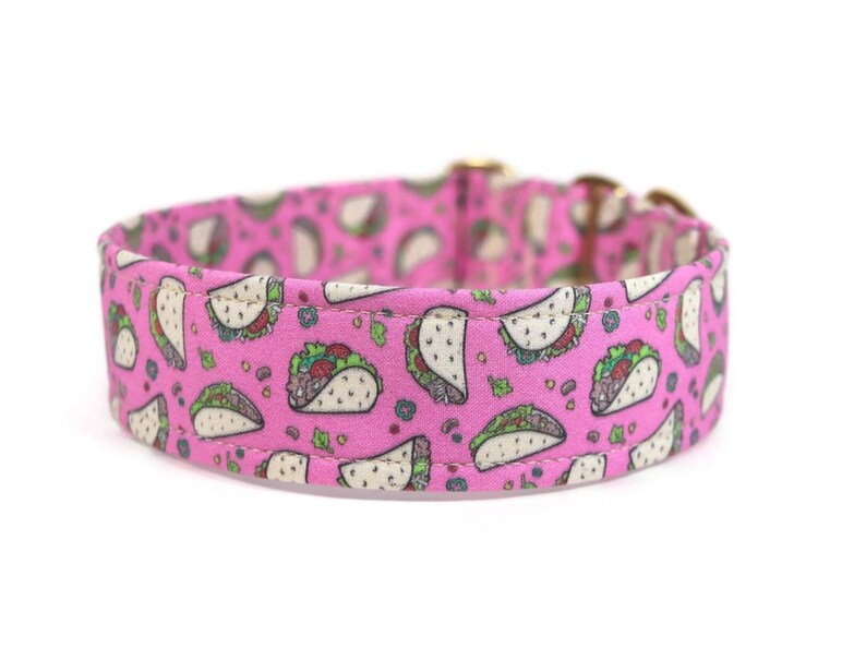 May include: Pink dog collar with a pattern of white tacos on a pink background.