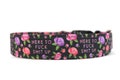 F*ck Shit Up Floral Dog Collar - Custom Dog Collar - Pet Accessories