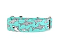 Great White Sharks Dog Collar - Aqua Blue, Martingale or Buckle, Custom Fit