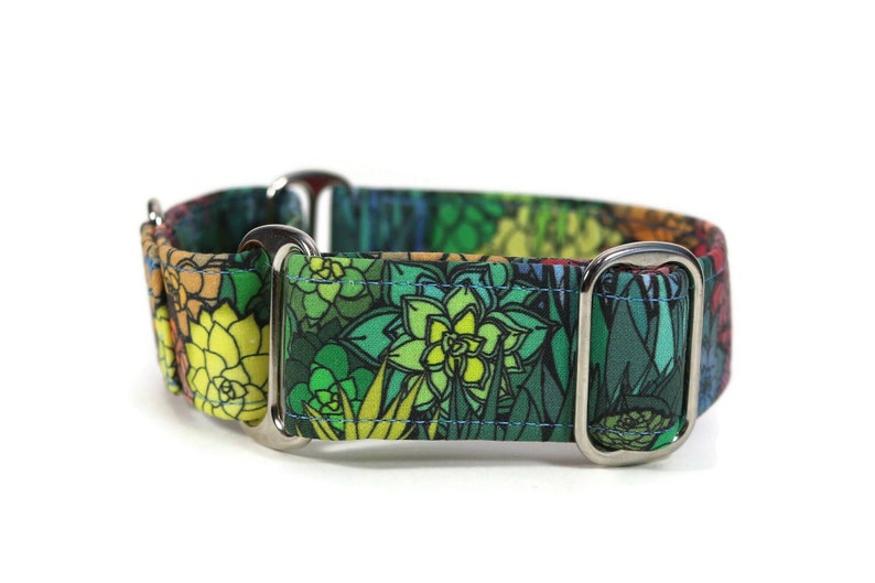 Rainbow Succulents Dog Collar Custom Dog Collar Martingale Etsy