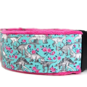 Roses &#39;n Dinos on Lt Blue Dog Collar - Custom Dog Collar - Martingale - Pet Accessories