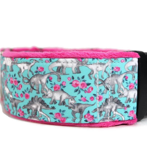 Roses 'n Dinos on Lt Blue Dog Collar - Custom Dog Collar - Martingale - Pet Accessories