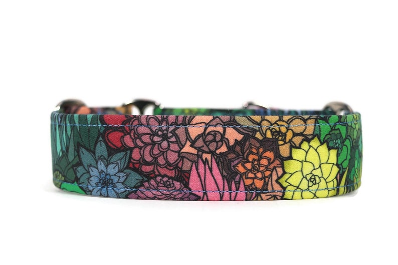 Rainbow Succulents Dog Collar Custom Dog Collar Martingale Etsy