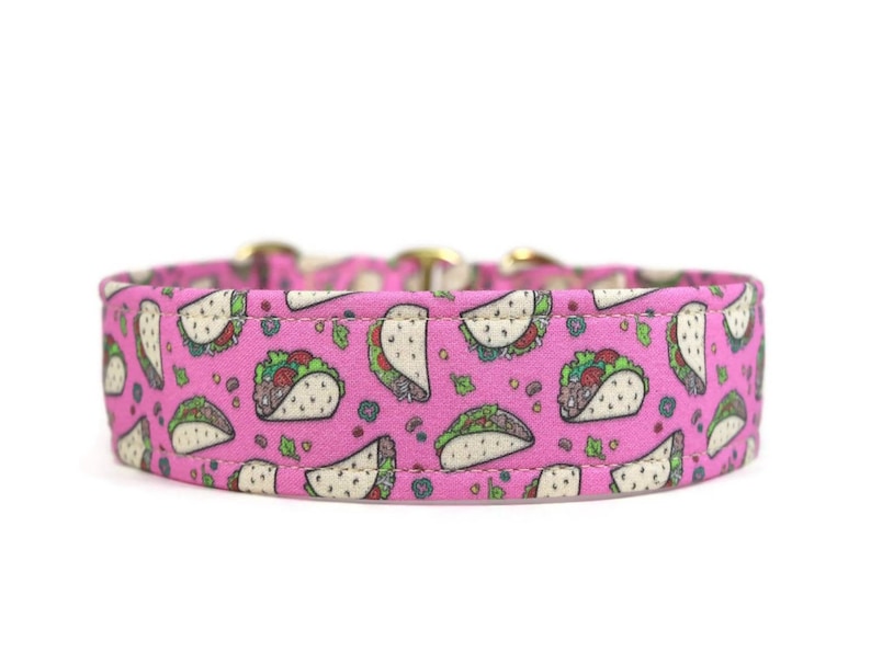 May include: Pink dog collar with a pattern of colorful tacos.