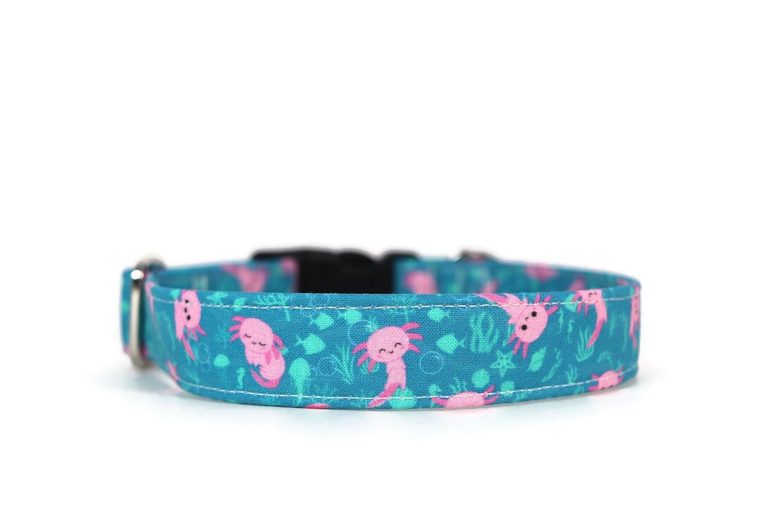 Axolotl Dog Collar: Sea Creature Fabric, Custom Pet Collar - Etsy