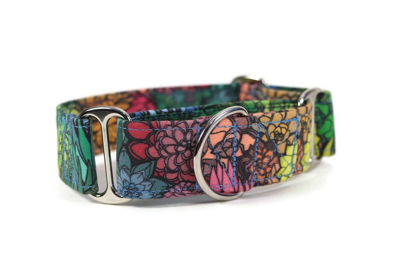 Rainbow Succulents Dog Collar Custom Dog Collar Martingale Etsy