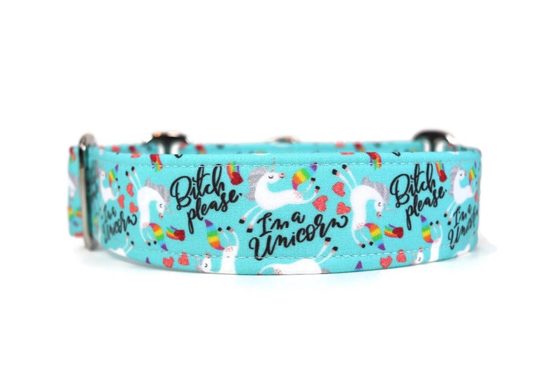 Bitch, please Unicorn Collar Custom Dog Collar Martingale Pet Accessories Designer Dog Collar image 1