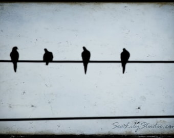 Long Distance Call : black bird telephone wire line silhouette grunge haunting pale blue sky black home decor 8x12 12x18 16x24 20x30 24x36
