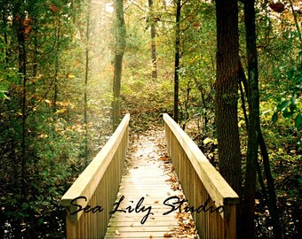 Rainbow Bridge : forest trees path green gold golden sunlight peace serenity afterlife home 8x10 11x14 16x20 20x24 24x30