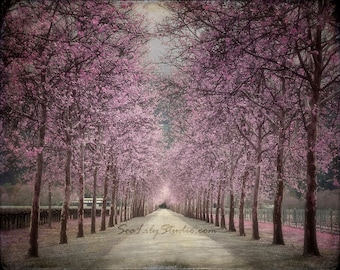 Vineyard photo 24x30 : surreal photography napa valley lavender black gray tree wine country romantic ethereal spring summer home decor