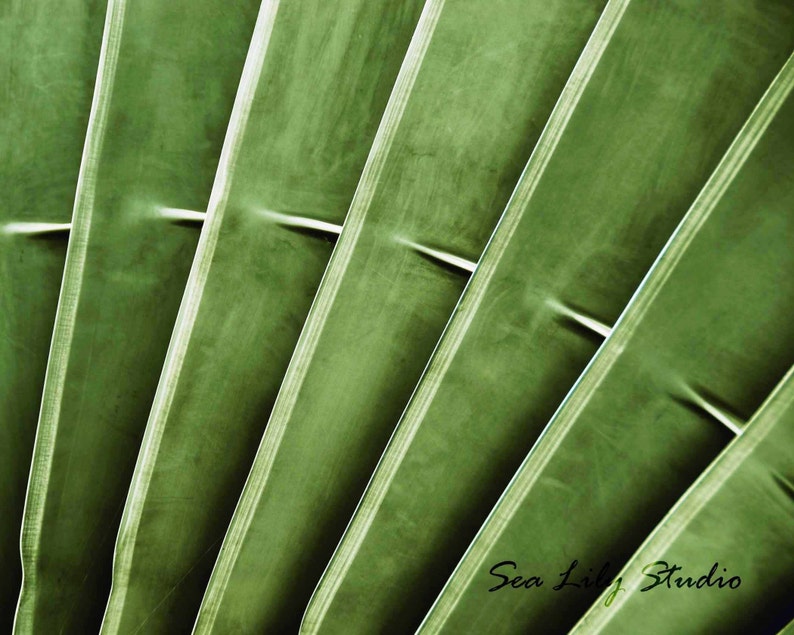 Turbine : plane photography jet engine green metal abstract industrial home decor 8x10 11x14 16x20 20x24 24x30 image 1