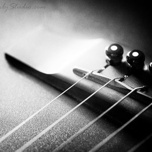 Acoustic Bridge : guitar photo black white macro photography musical instrument monochrome surreal home decor 8x10 11x14 16x20 20x24 24x30
