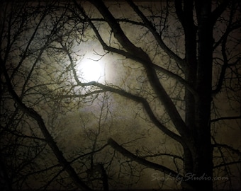 Winter Moon : fog tree silhouette haunted halloween cemetery goth gothic ghost story spooky dream eerie 8x10 11x14 16x20 20x24