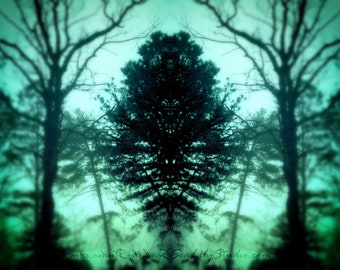 Dark Forest : surreal photo lake mist reflection mirror image haunting photography blue green teal home decor 8x10 11x14 16x20 20x24 24x30