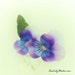 see more listings in the Flower Prints section