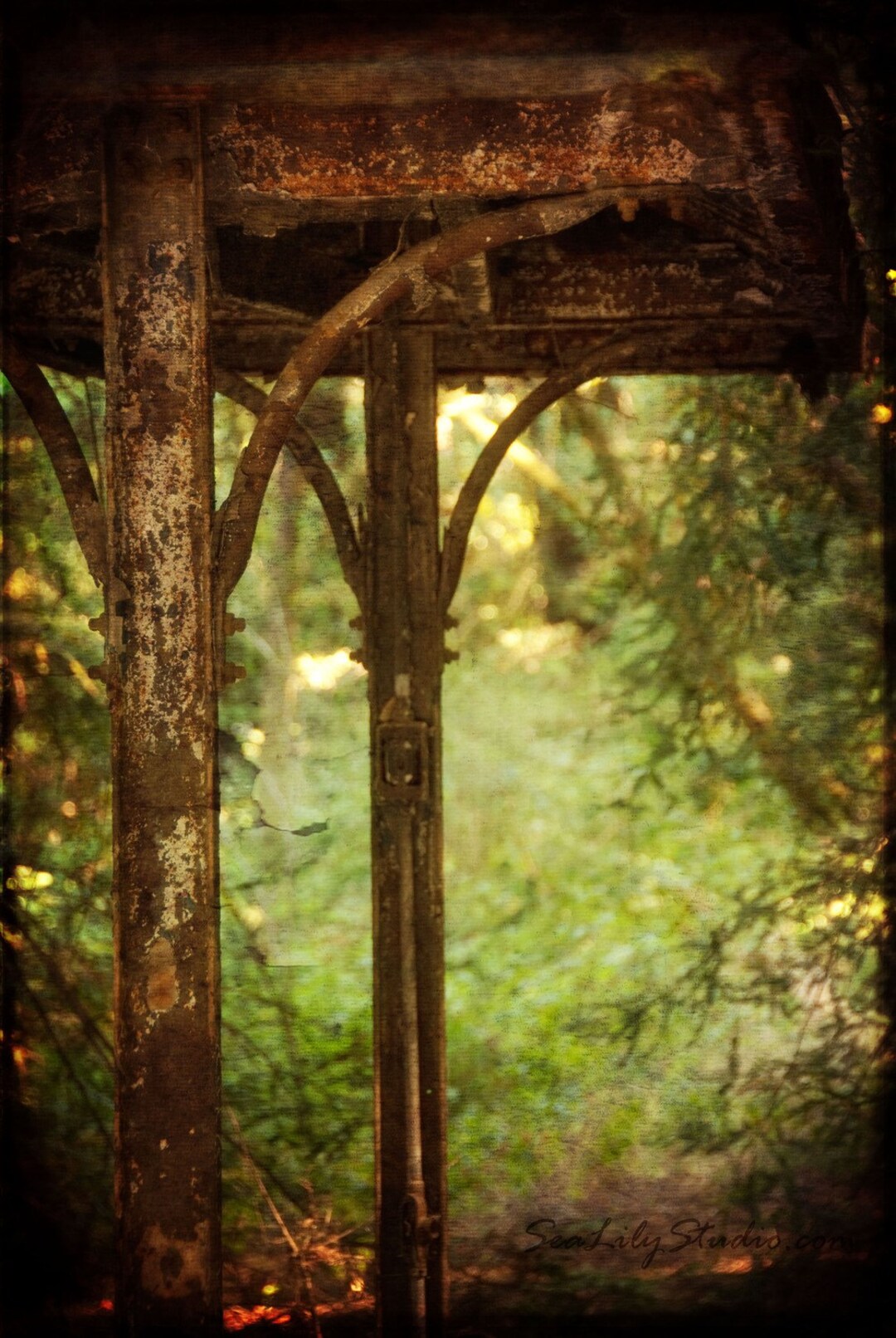 Rusted Awning : Distressed Photography Nature Abandoned Metal Decay ...