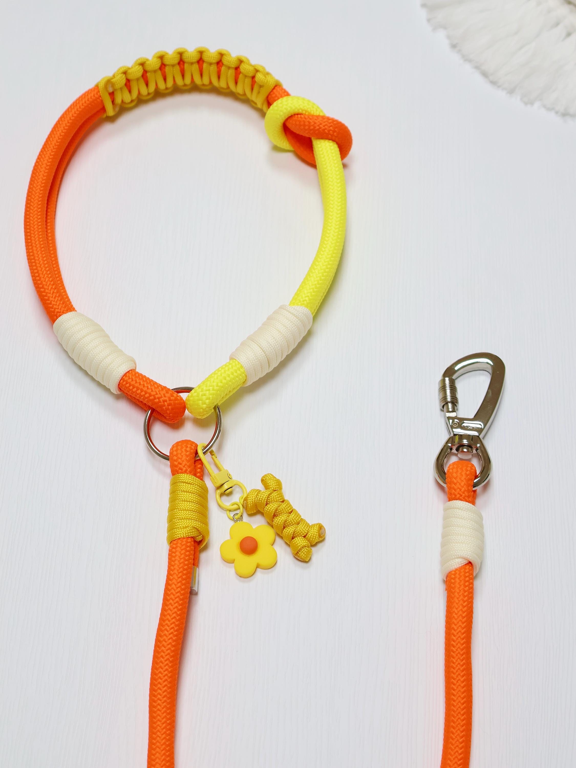 Colorful Pet Leashes ！hand - Woven and Designed by the Original Creator ...
