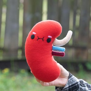 May include: A red, kidney-shaped plush toy with a white, curved section and blue and maroon tubes. The toy has a stitched face with black eyes, a small mouth, and pink accents. The toy is held in a person's hand.