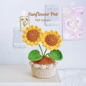 Schattig haakpatroon zonnebloempot, haakpatroon bloempot, DIY handgemaakt cadeau, gehaakte bloemen, gehaakt huisdecor, digitale pdf-patroon