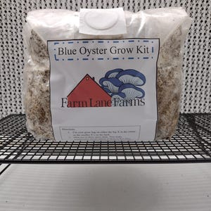 Mushroom grow bag