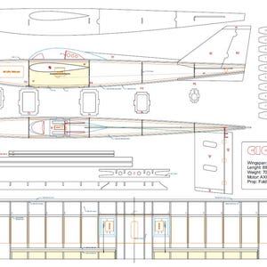May include: Detailed blueprint of a model airplane, featuring various components like wings, fuselage, and tail. The design includes measurements, with a wingspan of 1000 mm and a weight of 700g. The blueprint also includes the text "CICO".