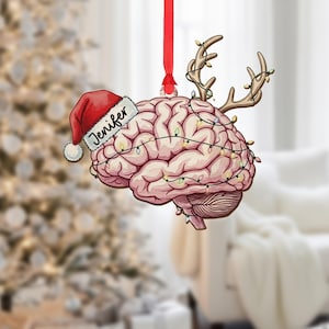 Personlig julgransprydnad för hjärnan, anpassad neurologprydnad, rolig medicinsk juldekoration, neurovetenskaplig gåva, psykologidekoration