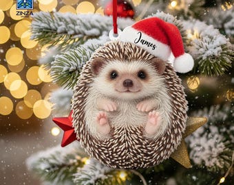 May include: A flat, round Christmas ornament featuring a brown and white hedgehog wearing a red and white Santa hat with the name James printed on the brim. The hedgehog is positioned in front of a red star and a gold star, hanging by a red ribbon.