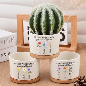Vaso de cerâmica personalizado com a frase &quot;Amizade&quot;: &quot;Demora muito para crescer um vaso de planta com uma velha amiga&quot;, &quot;Presente de amizade&quot;, &quot;Presente de melhores amigas&quot;, &quot;Presente de melhor amiga&quot;