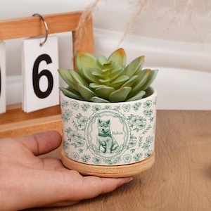 Può includere: Un vaso cilindrico in ceramica bianca con un motivo floreale verde e una cornice ovale centrale contenente l'illustrazione di un cane e il nome Robin. Il vaso poggia su un sottovaso circolare in bambù e contiene una pianta succulenta verde.