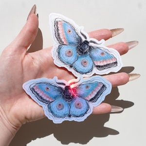 Sticker papillon bleu, Sticker papillon brillant, Sticker papillon de nuit holographique, Sticker pour carnet de notes, Sticker scrapbooking, Sticker pour ordinateur portable, Sticker pour ordinateur portable