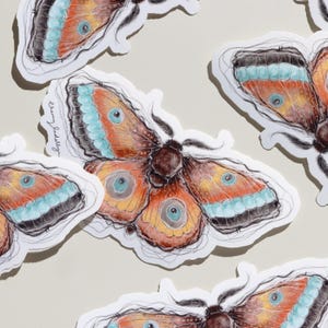 Sticker papillon orange, Sticker papillon brillant, Sticker papillon de nuit holographique, Sticker pour journal intime, Sticker scrapbooking, Sticker stationnaire, Sticker pour ordinateur portable