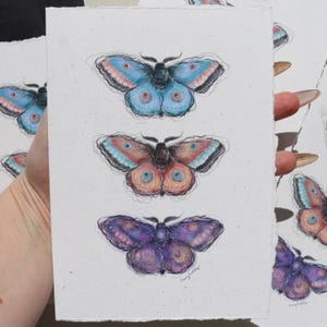 Tarjeta de polilla, tarjeta de felicitación de polilla, tarjeta de insecto, tarjeta de cumpleaños, tarjeta para cualquier ocasión, tarjeta de felicitación, tarjeta hecha a mano, tarjeta artística de polilla